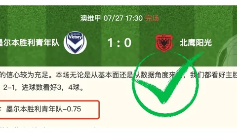 王者荣耀新英雄热议，体育品牌携手推出特别版